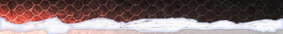 Header