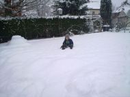 Zufallsbild