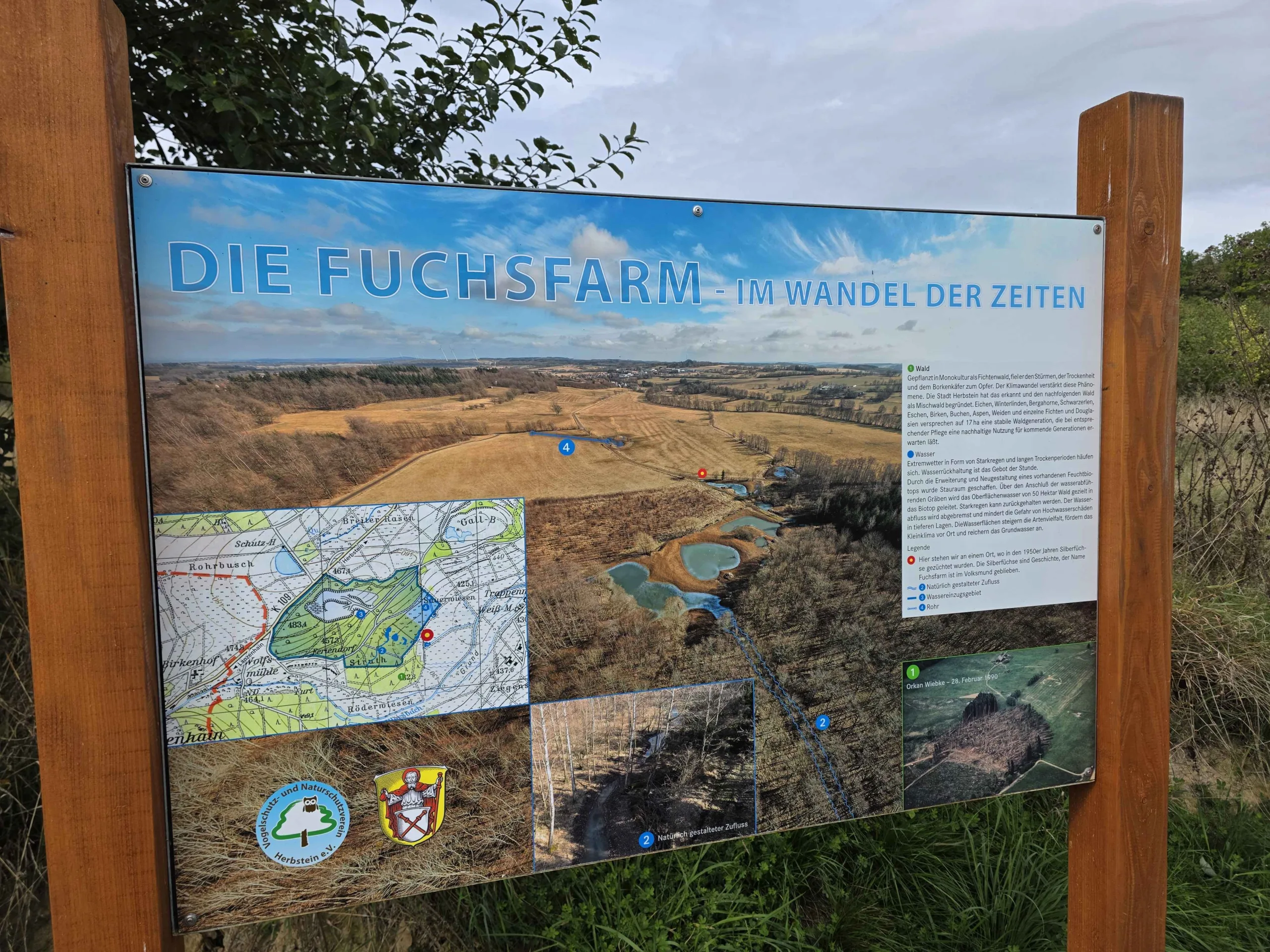 Medienvorschau