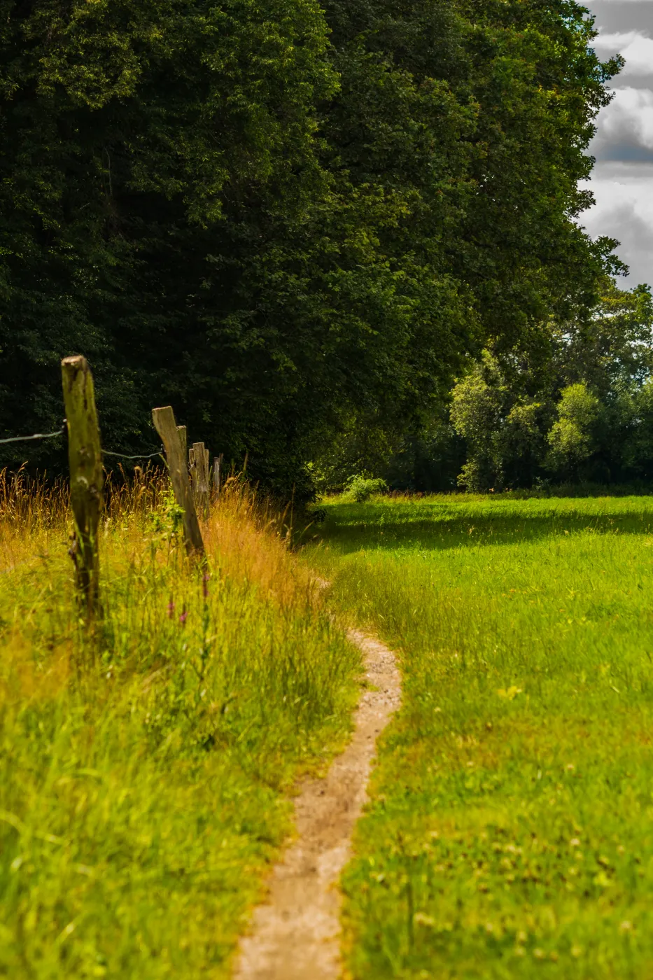 Feldweg by T0mT0m